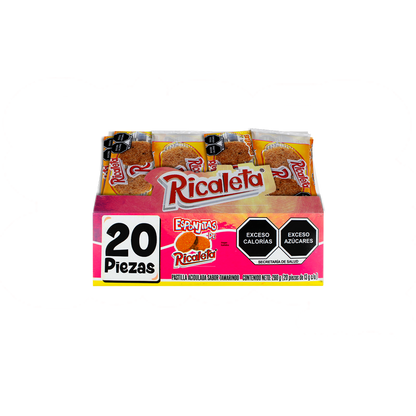 ESPONJA RICALETA 40/20