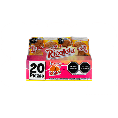 ESPONJA RICALETA 40/20