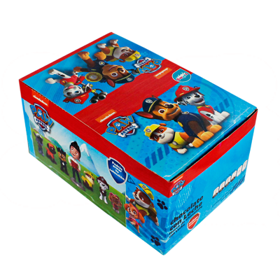 PAW PATROL 8/6