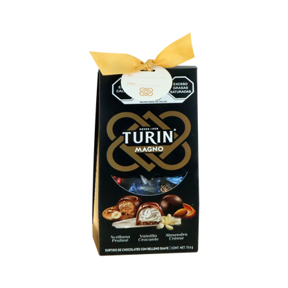 TURIN BOLSA MAGNO 12/73.6 GRS