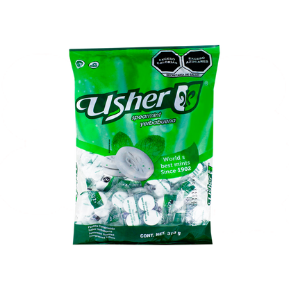USHER BOLSA YERBA 40/100