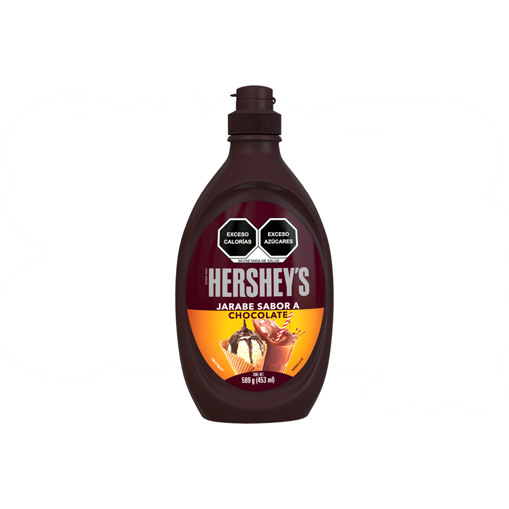 HERSHEY JARABE 24/589 G