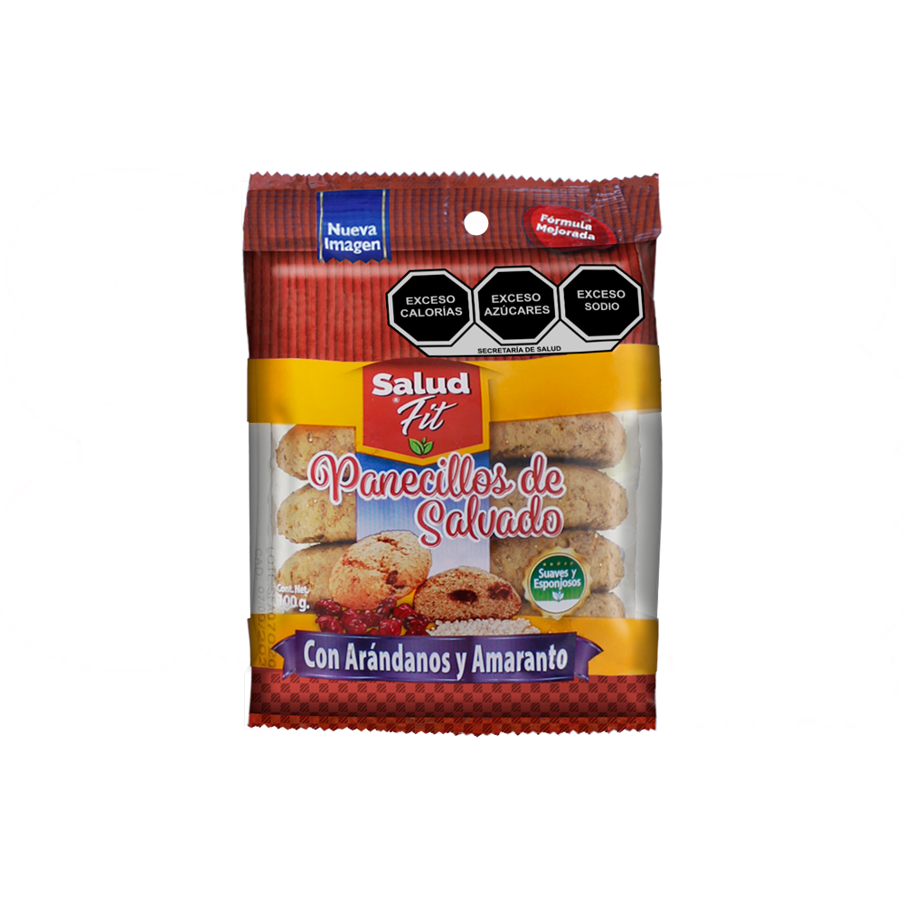 SALUD FIT ARANDANO 16/100 G